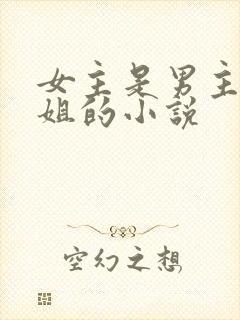女主是男主的继姐的小说