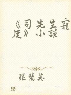 《司先生宠妻无度》小说