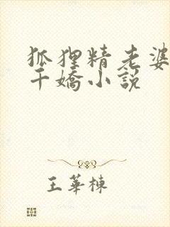 狐狸精老婆百媚千娇小说