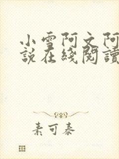 小雪阿文阿武小说在线阅读