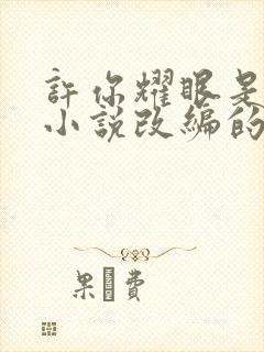 许你耀眼是哪部小说改编的