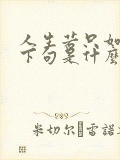 人生若只如初见下句是什么