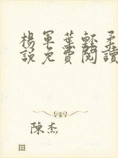 杨军叶轻柔的小说免费阅读无弹窗