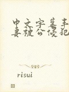 中文字幕丰满人妻被公侵犯