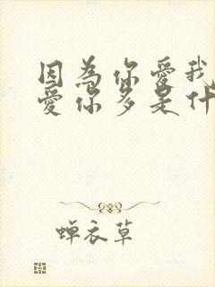 因为你爱我比我爱你多是什么歌