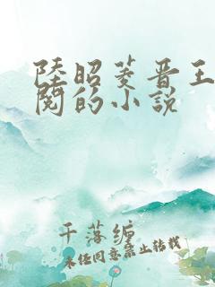 陆昭菱晋王周时阅的小说