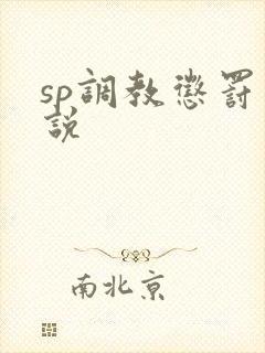 sp调教惩罚小说