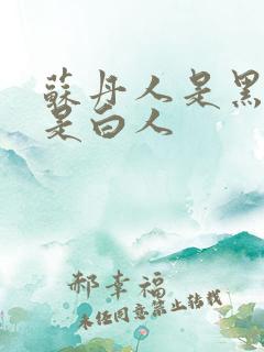 苏丹人是黑人还是白人