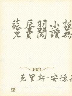 苏辰羽小说全文免费阅读无弹窗最新章节