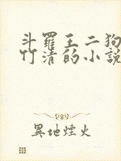 斗罗王二狗和朱竹清的小说