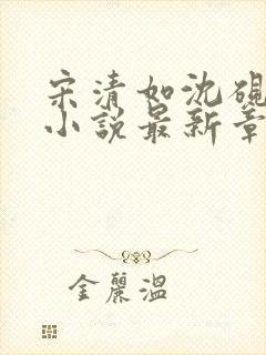 宋清如沈砚窦临小说最新章节更新时间表