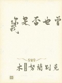 你是否也曾爱过我