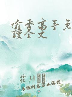 偷香高手免费阅读全文