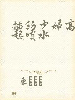 插的少妇高潮迭起喷水