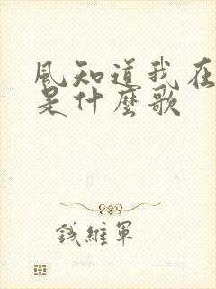 风知道我在想你是什么歌