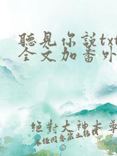 听见你说txt全文加番外