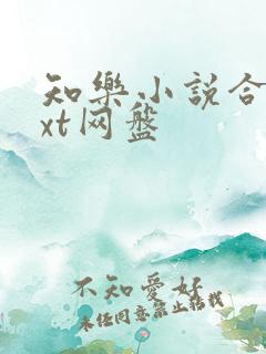 知乐小说合集txt网盘