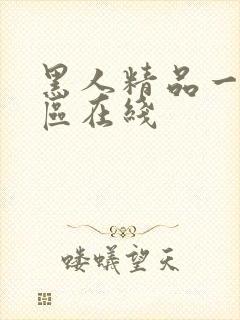 黑人精品一区二区在线