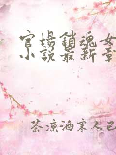 官场销魂女人们小说最新章节更新