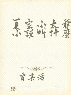 夏家小太爷原著小说叫什么名字