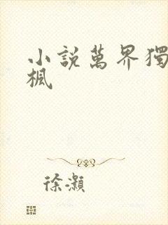 小说万界独尊林枫