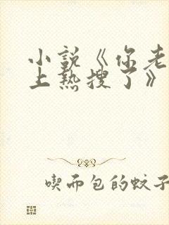 小说《你老婆又上热搜了》