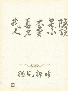 我真不是隐世高人免费小说