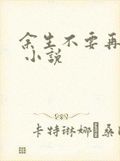 余生不要再爱你 小说