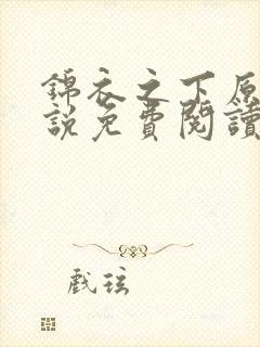 锦衣之下原著小说免费阅读