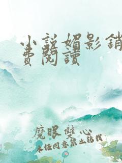 小说媚影销魂免费阅读