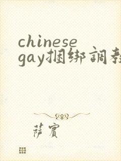 chinesegay捆绑调教视频
