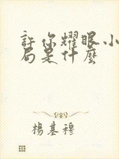 许你耀眼小说结局是什么