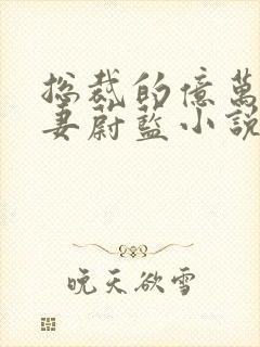 总裁的亿万小小妻蔚蓝小说阅读