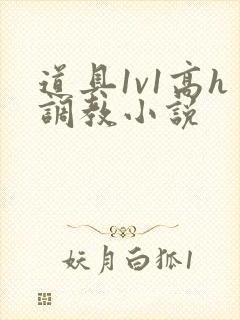 道具1v1高h调教小说