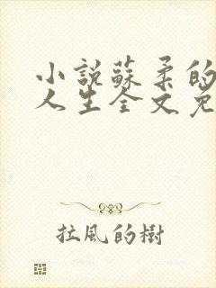 小说苏柔的风流人生全文免费阅读