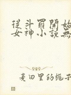 从斗罗开始俘获女神小说无删减正版在线阅读