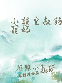 小说皇叔的第一宠妃