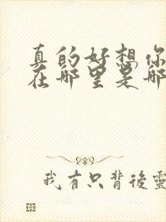 真的好想你你会在哪里是哪首歌的歌词