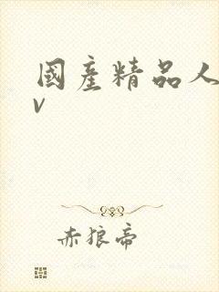 国产精品人妻av