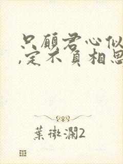 只愿君心似我心,定不负相思意的含义