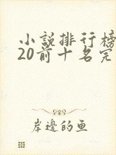 小说排行榜2020前十名完结篇