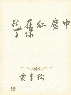 我在红尘中遇见了你