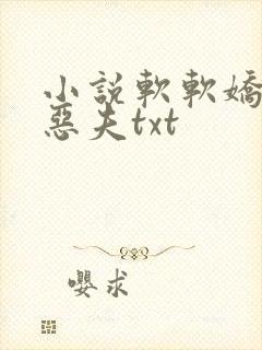 小说软软娇妻驭恶夫txt