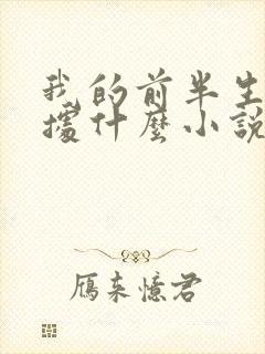 我的前半生是根据什么小说改编的