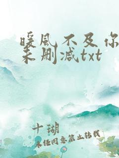 暖风不及你情深未删减txt