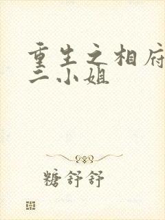 重生之相府嫡女二小姐
