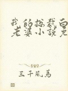 我的总裁白富美老婆小说免费在线听