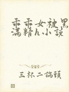 乖乖女被黑人灌满精h小说