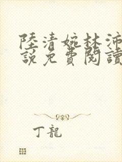 陆清婉林沛琛小说免费阅读最新章节