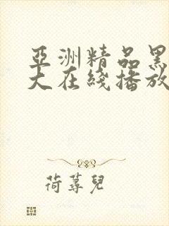 亚洲精品黑人巨大在线播放